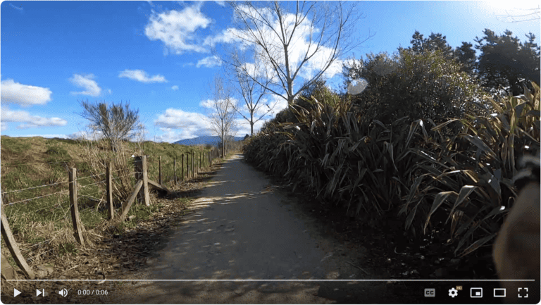 Cotter Street end Flaxes